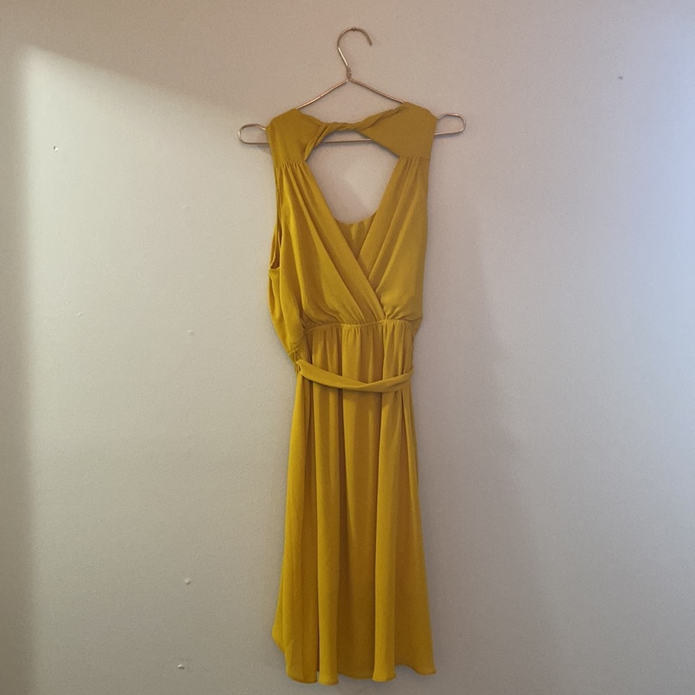 Gold dress - Express, cut out back - Picture 3 of 3